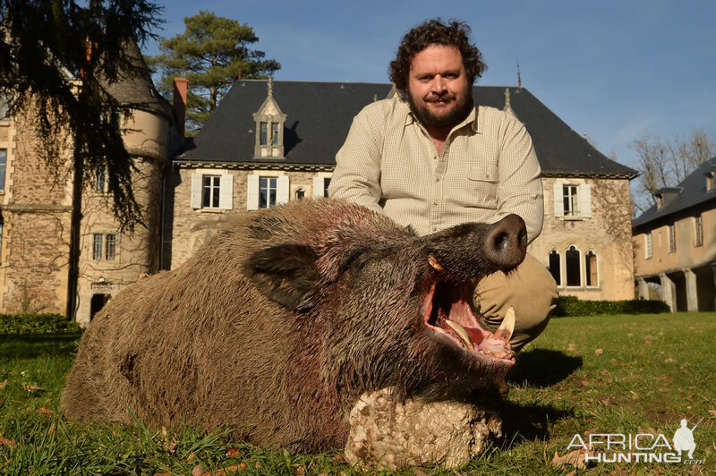 Wild Boar Hunting France