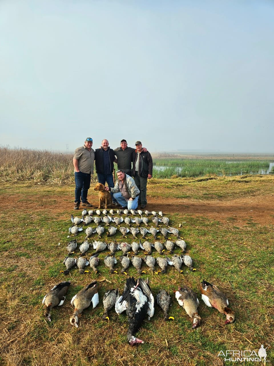 Wild Duck and Geese Hunting South Africa