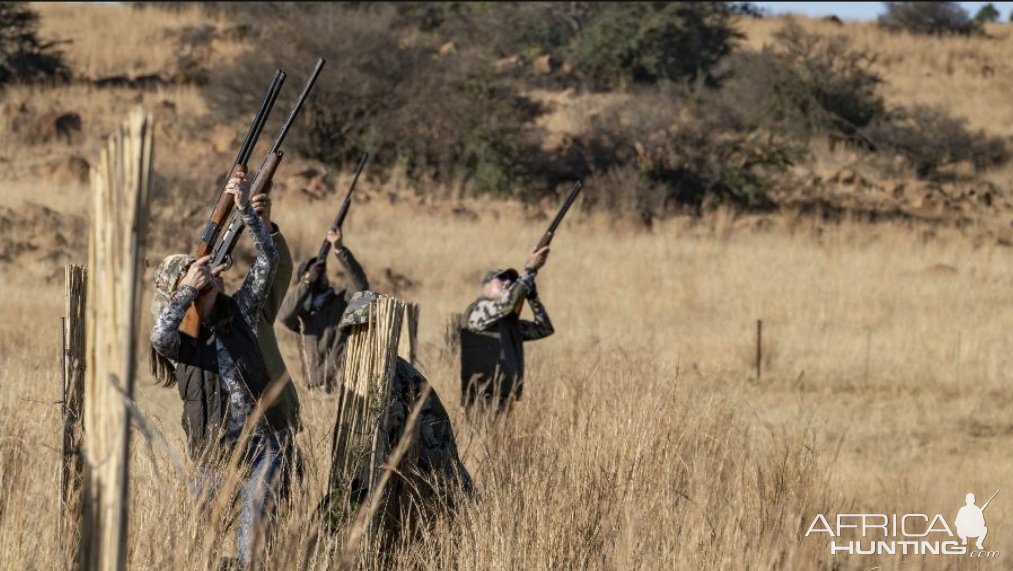 Wild Wingshooting South Africa