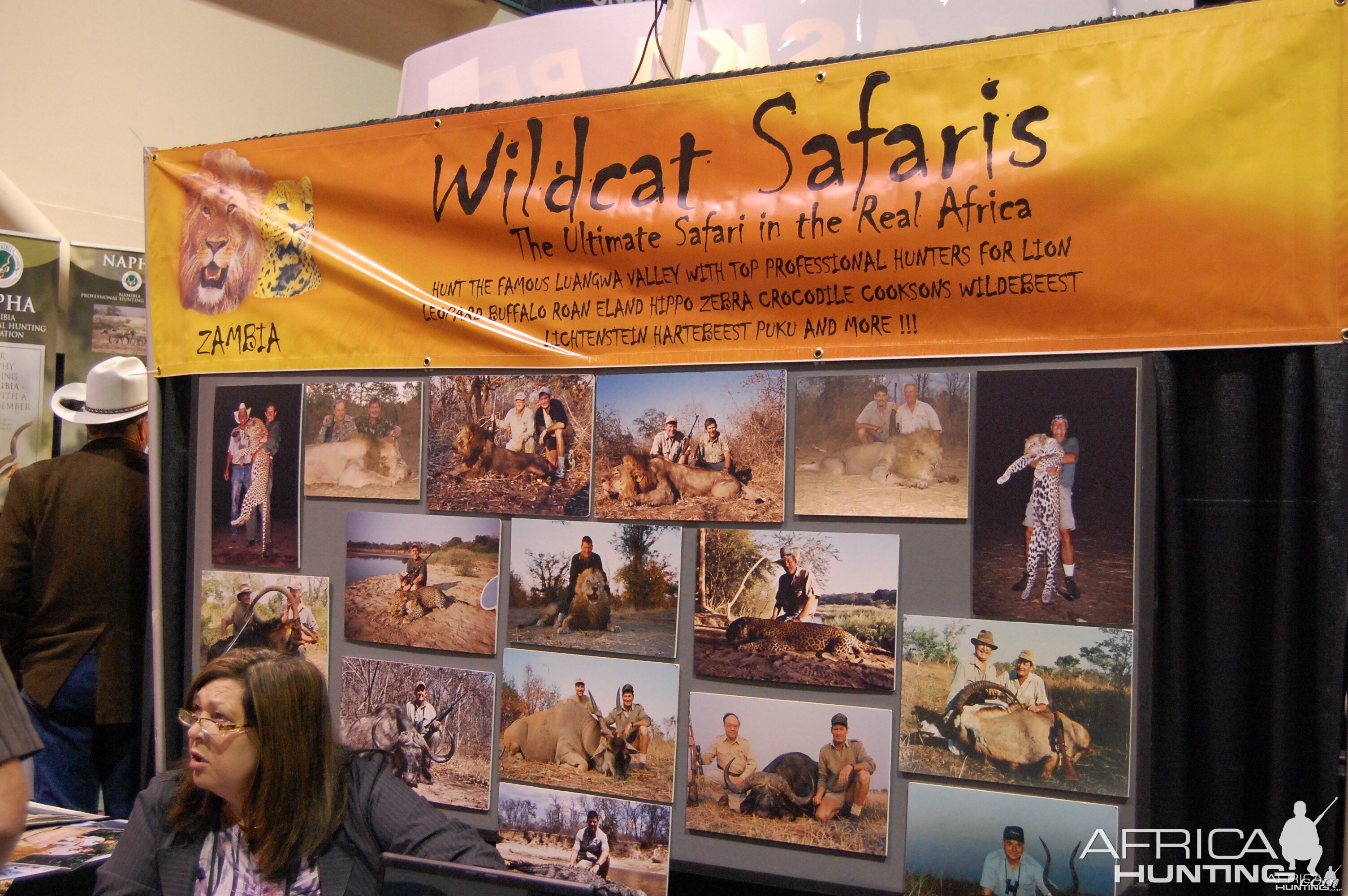 Wildcat Safaris