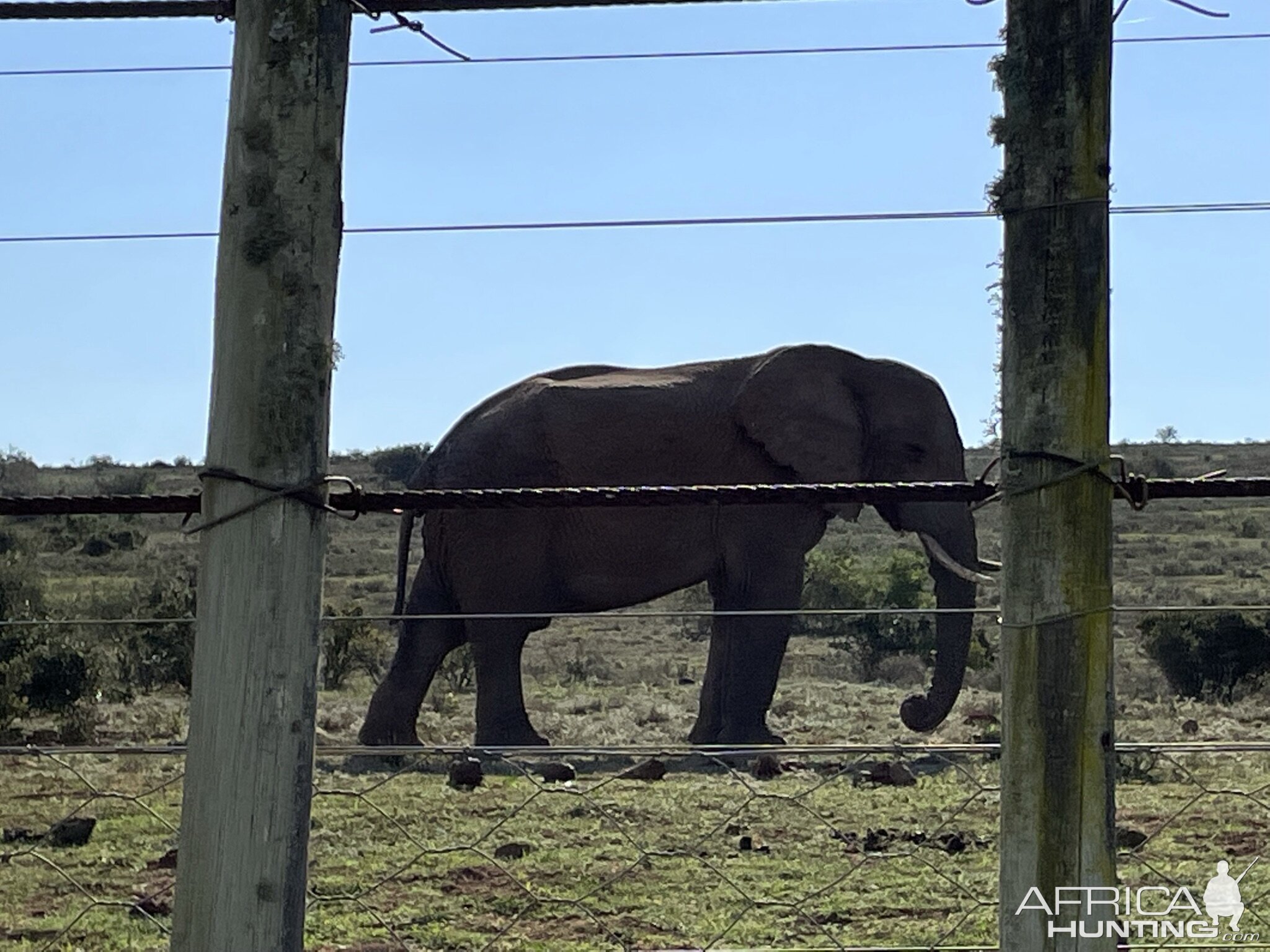 Wildlife South Africa