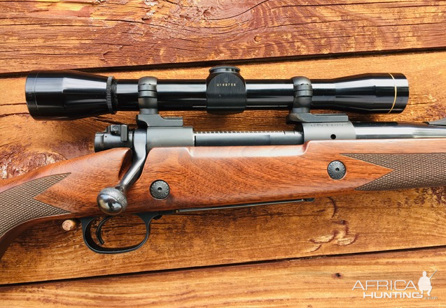 Win 70, Super Express model in 375 H&H Rifle