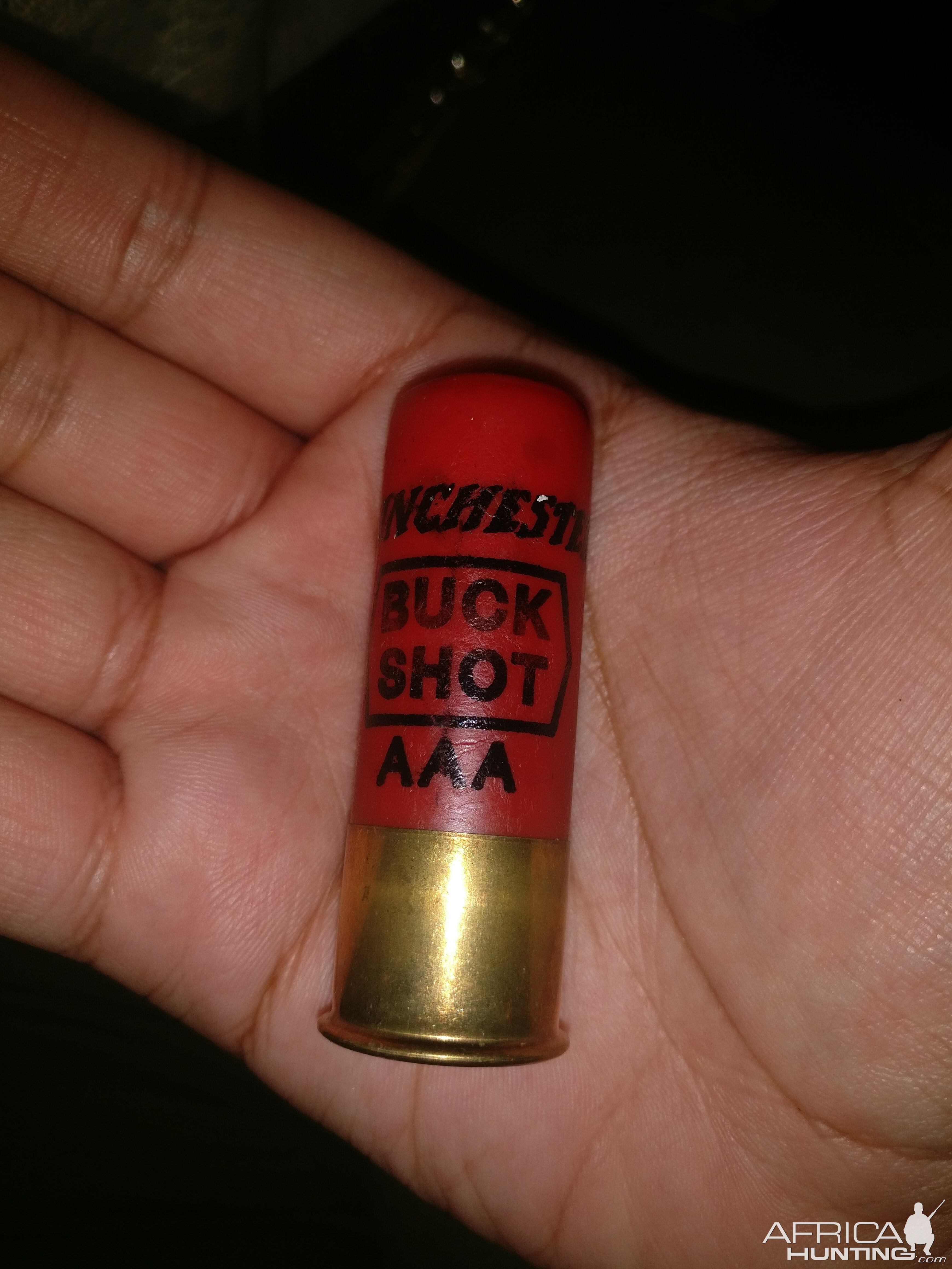 Winchester Australia 12 Bore 32 gram AAA cartridge
