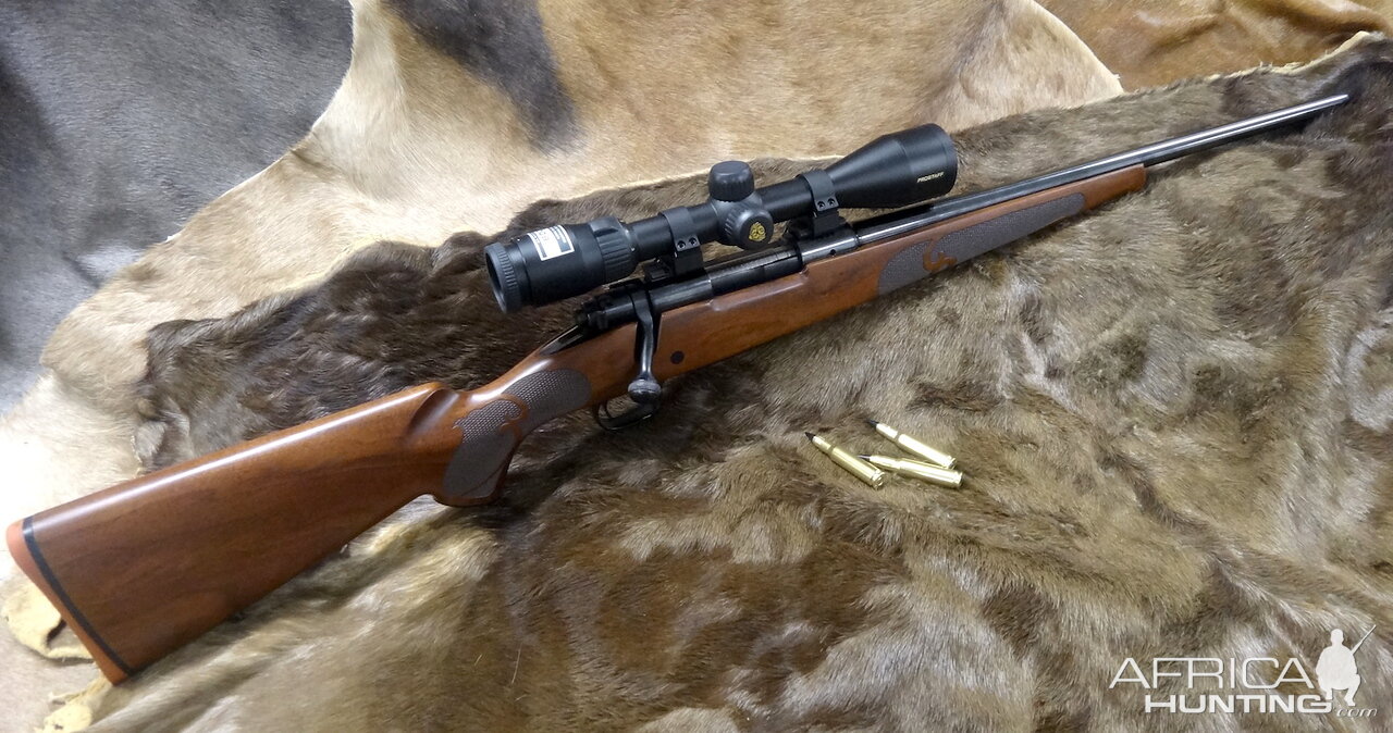 Winchester M70 308 With 20 Inch Barrel