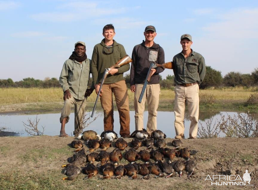 Wing Shooting  Geese South Africa