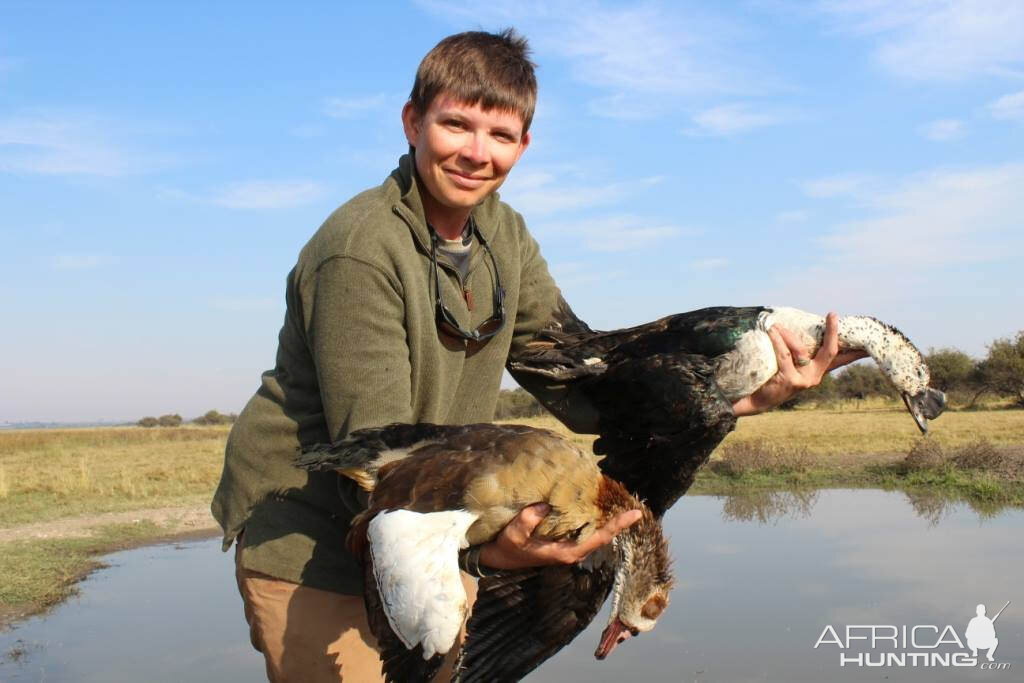 Wing Shooting Geese South Africa