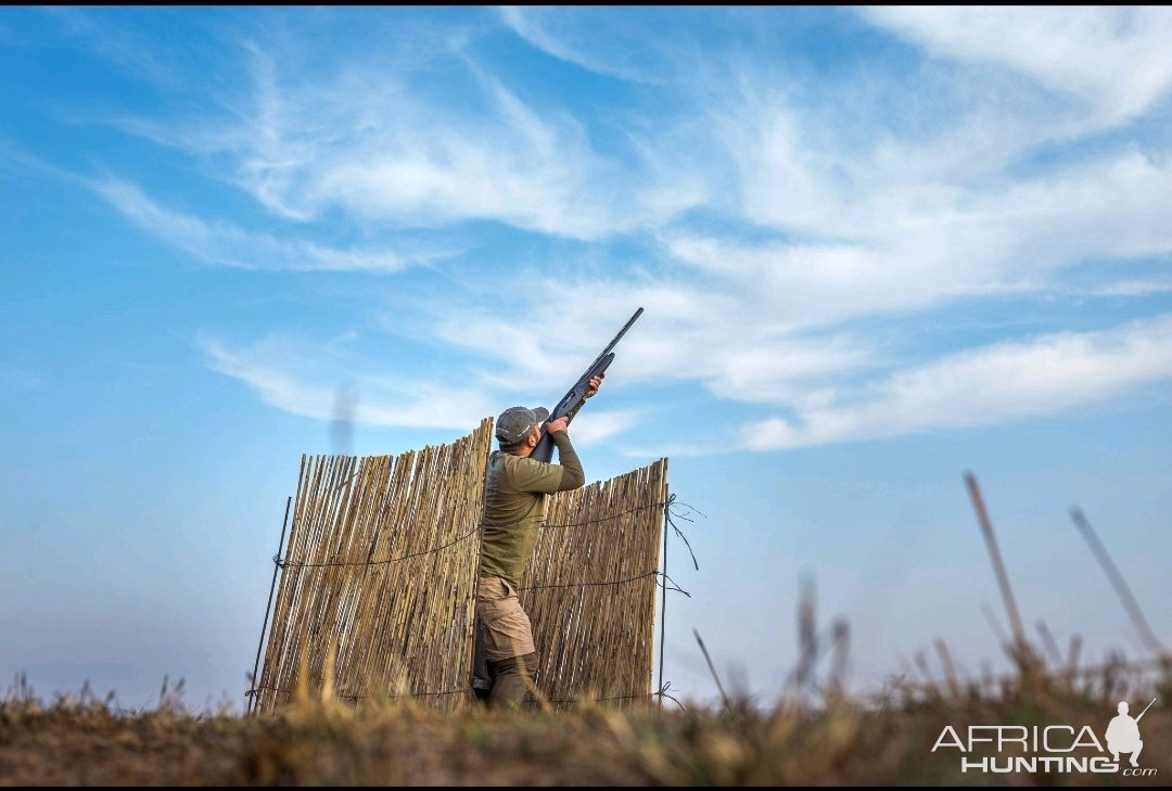 Wingshooting in South Africa