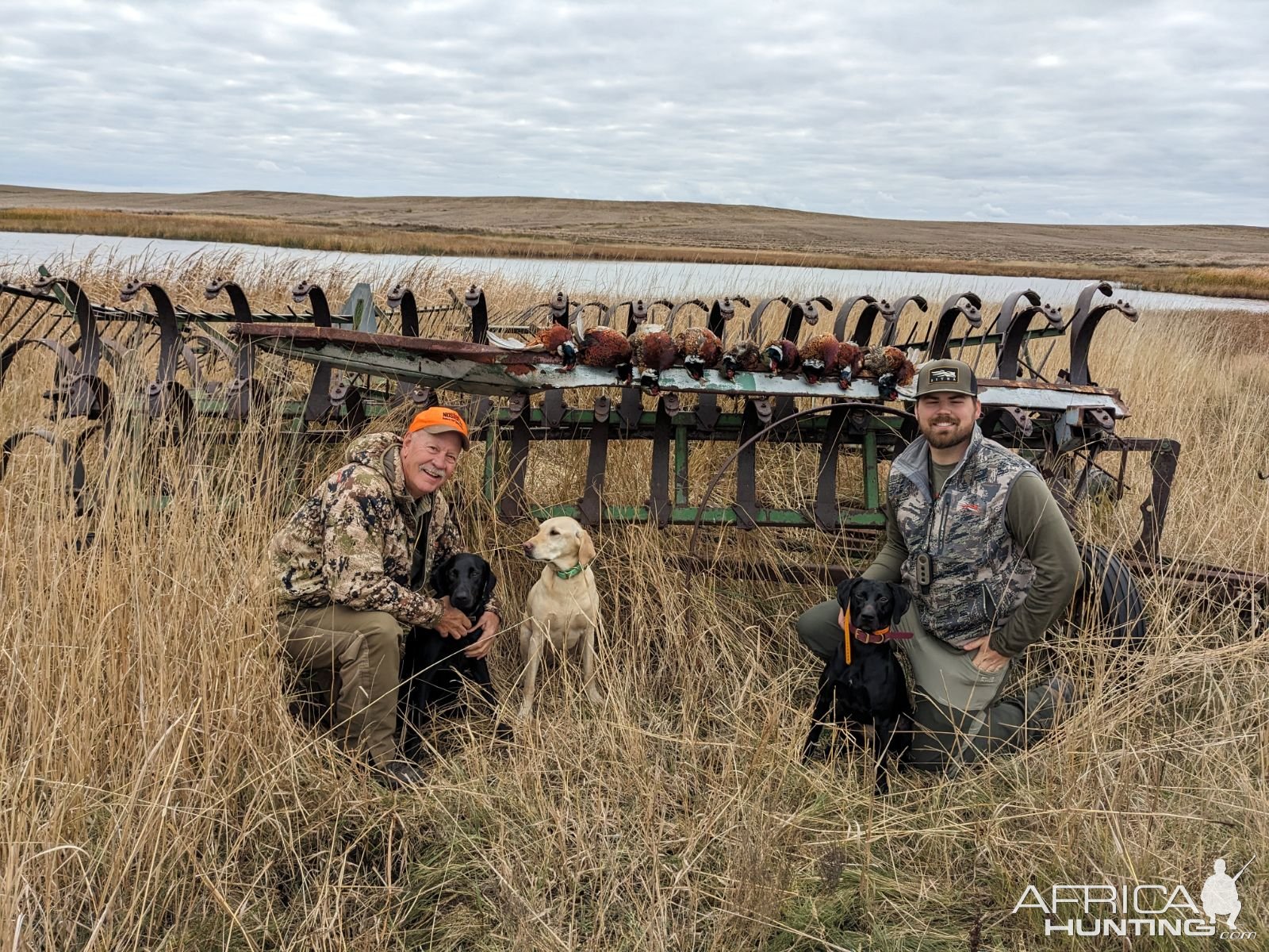 Wingshooting North Dakota