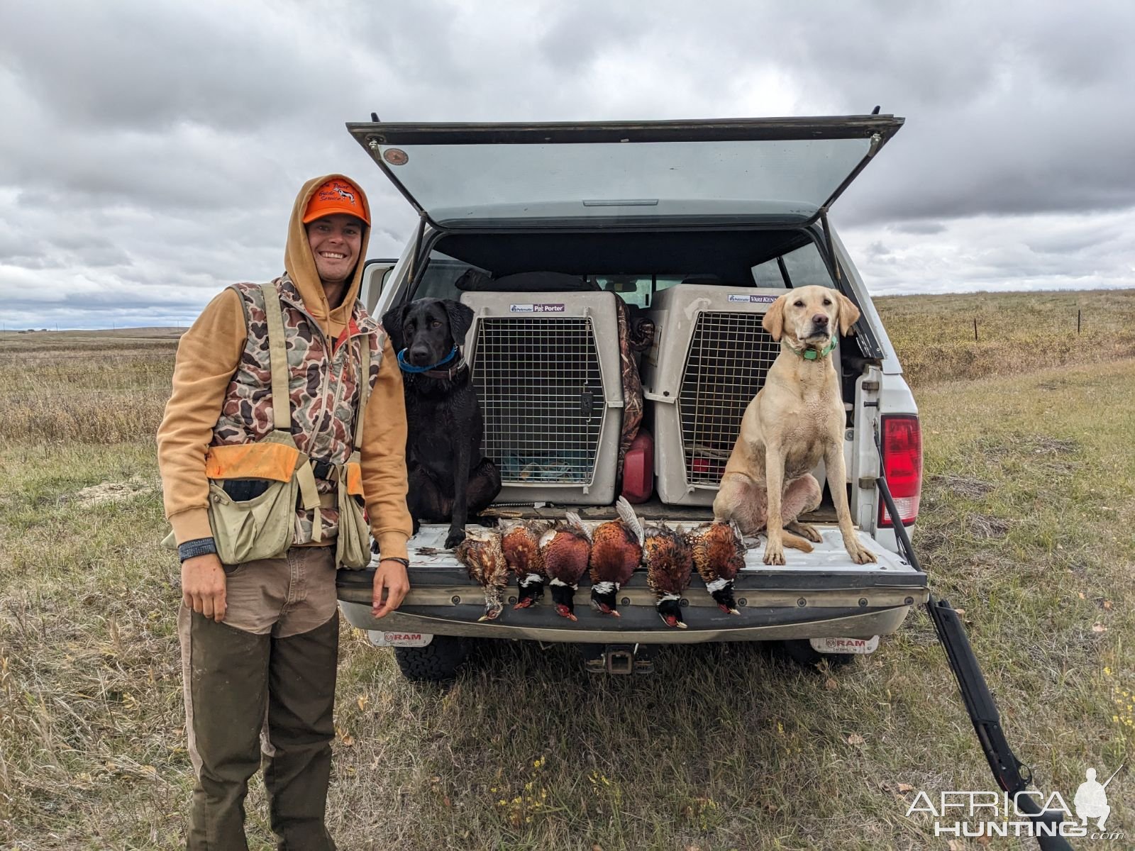 Wingshooting North Dakota