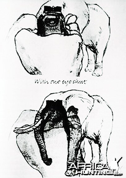 "With one eye shut" - Hunting Elephant