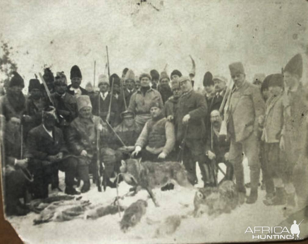 Wolf & Fox hunt in winter Romania