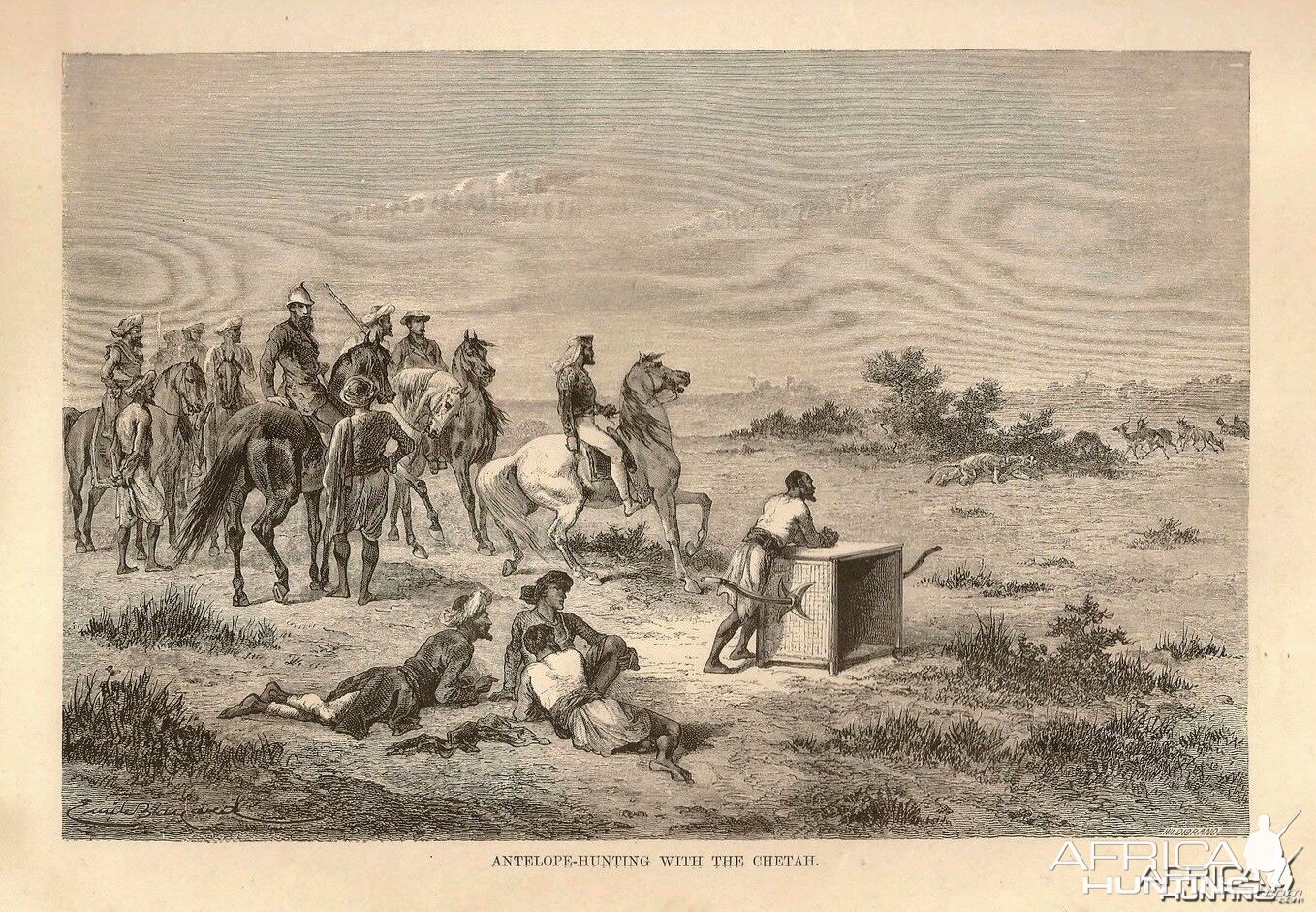 Wood Engraving Hunting Antelope with Cheetah India 1876