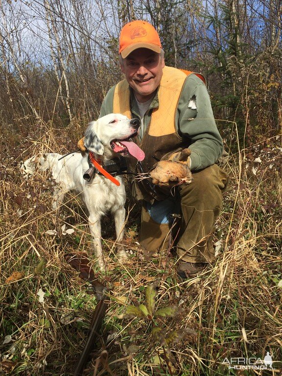 Woodcock Bird Hunt