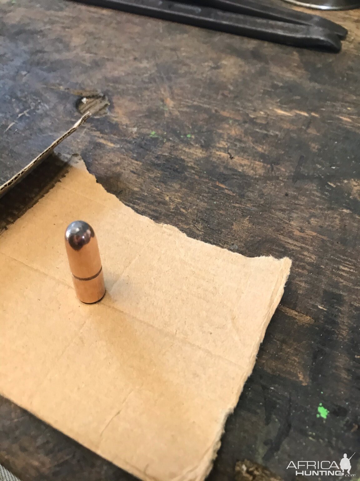 Woodleigh weldcore 450 grain bullet in 416 caliber