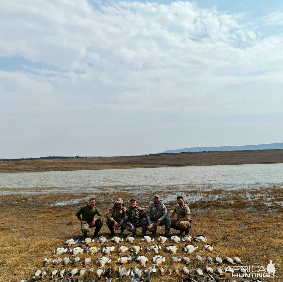 World's largest Goose, South Africa