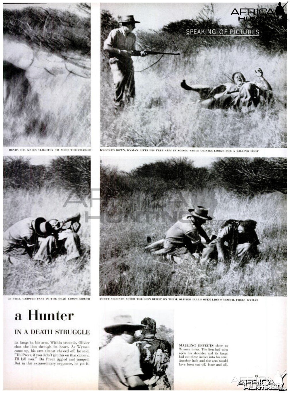 Wounded Lion Downs, 1955