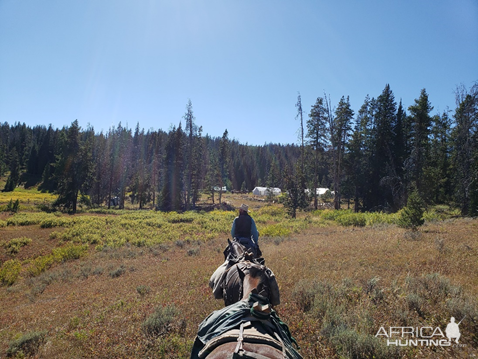 Wyoming Archery Elk Hunt 2018