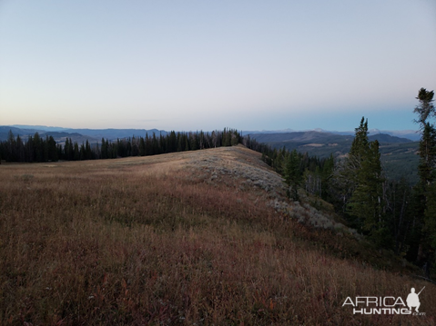 Wyoming Archery Elk Hunt 2018