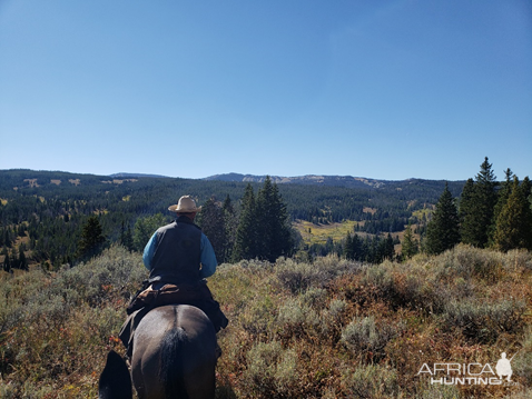 Wyoming Archery Elk Hunt 2018