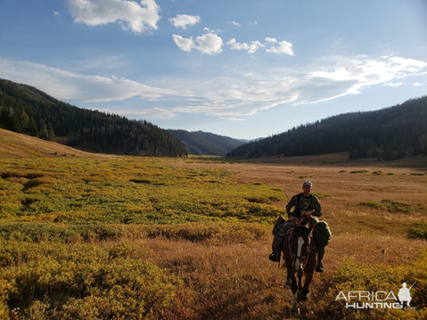 Wyoming Archery Elk Hunt 2018