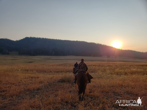 Wyoming Archery Elk Hunt 2018