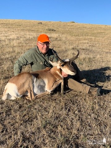 Wyoming Pronghorn Hunt