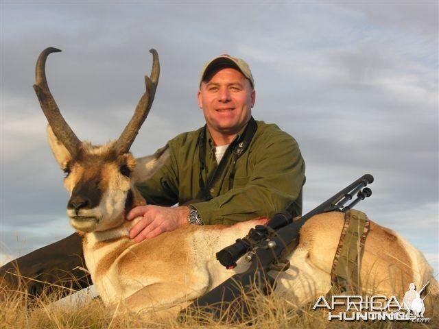 Wyoming Pronghorn