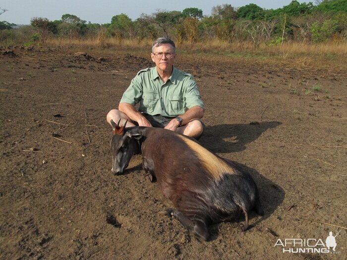 Yellow Back Duiker hunt with CAWA in CAR