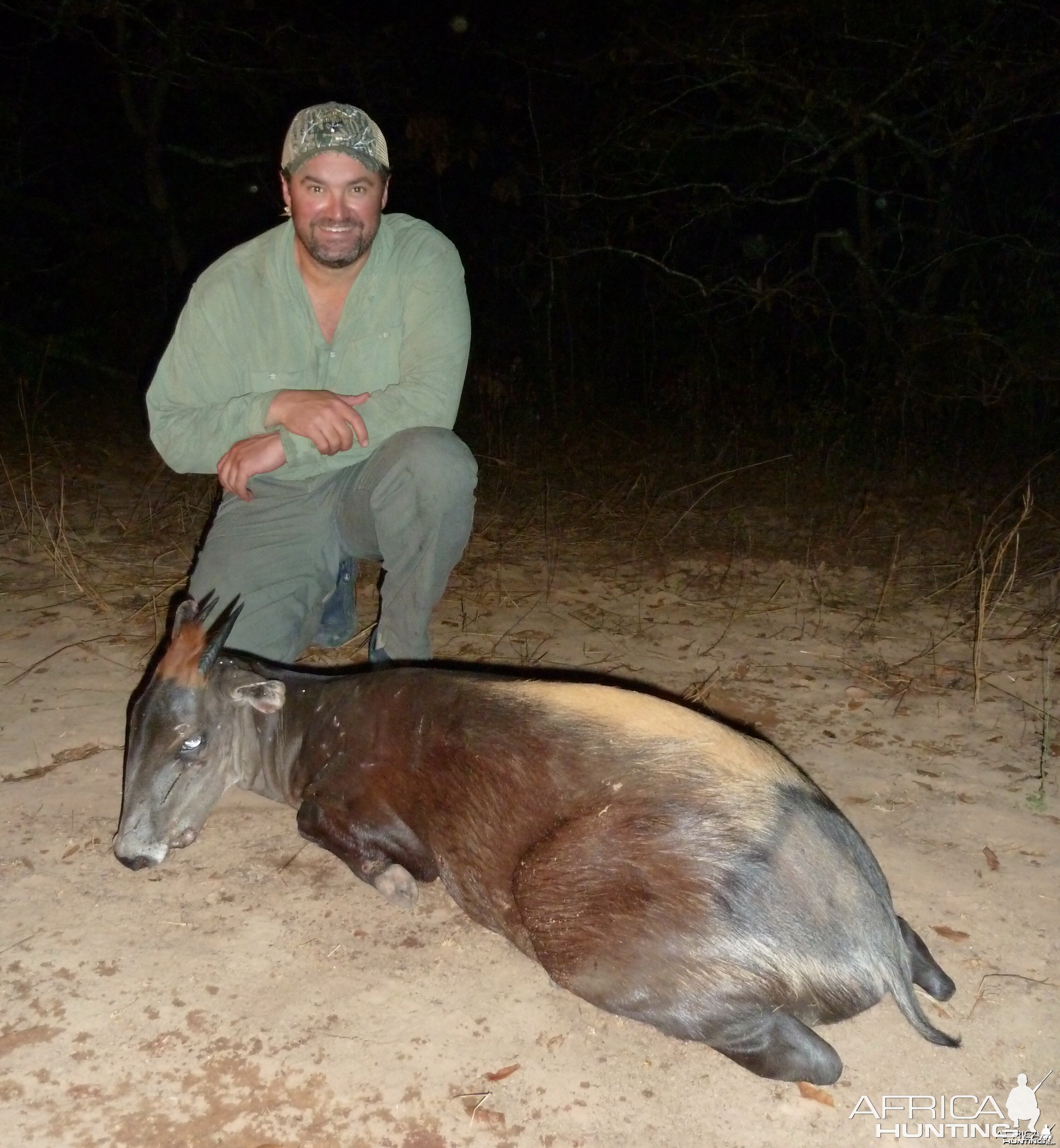 Yellow-Backed Duiker hunted in Central Africa with Club Faune