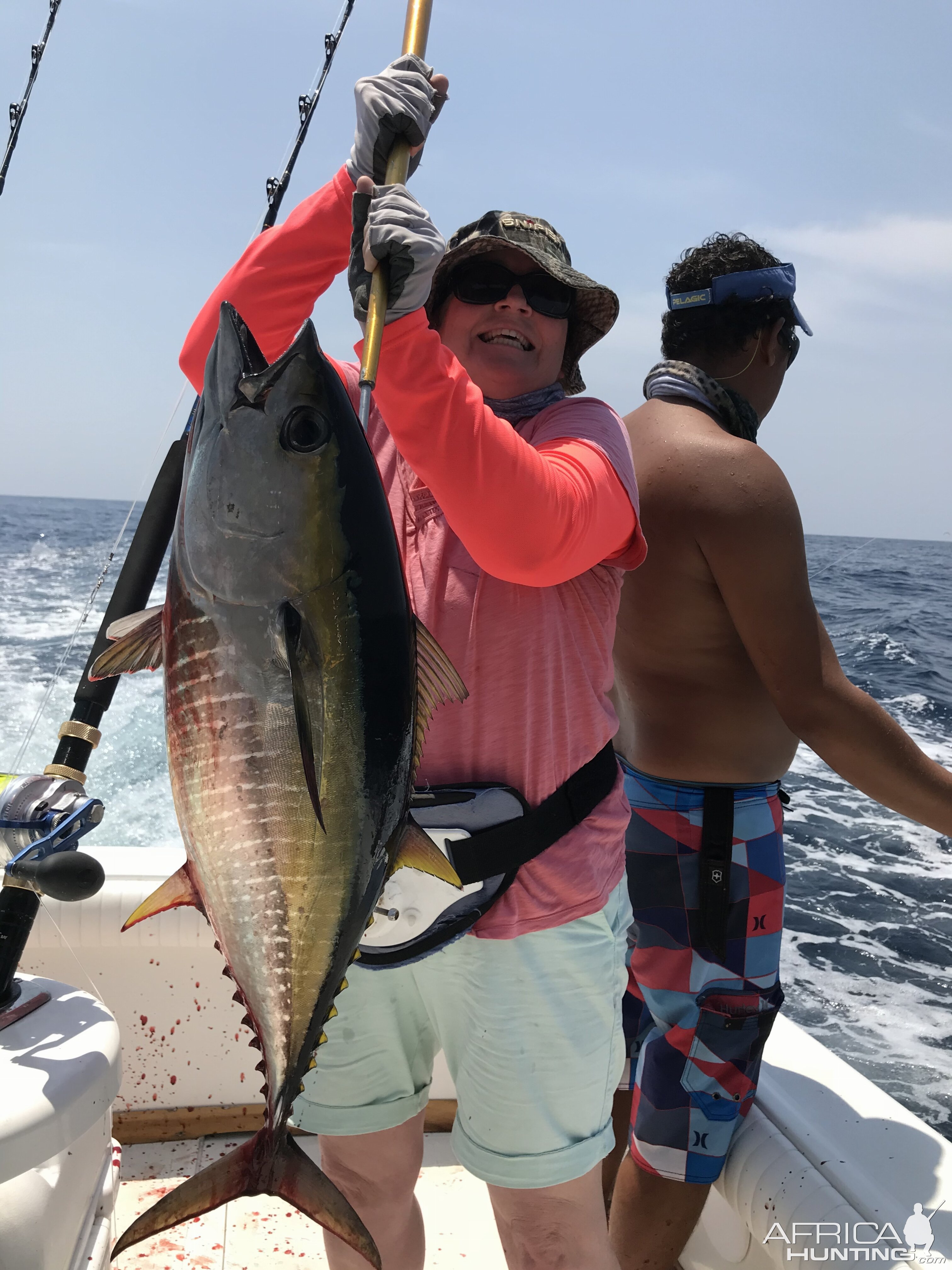 Yellow fin tuna