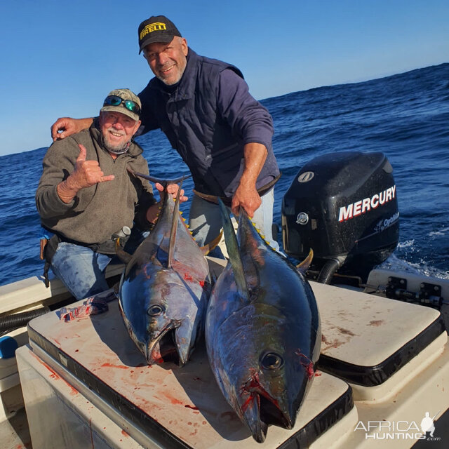 Yellowfin Tuna Fishing St Francis Bay Eastern Cape South Africa