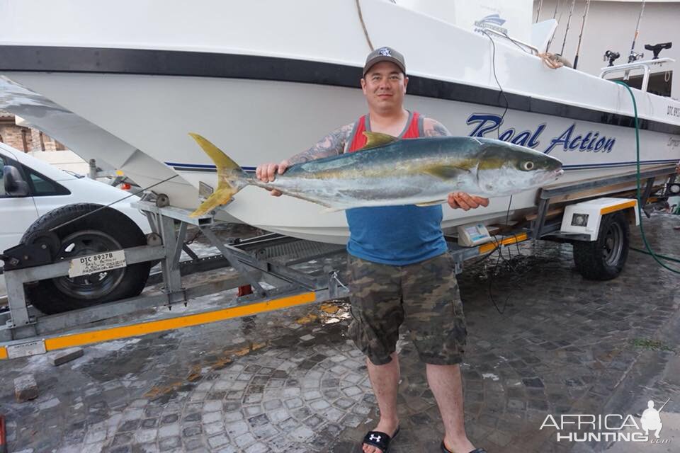 Yellowtail Fishing in South Africa