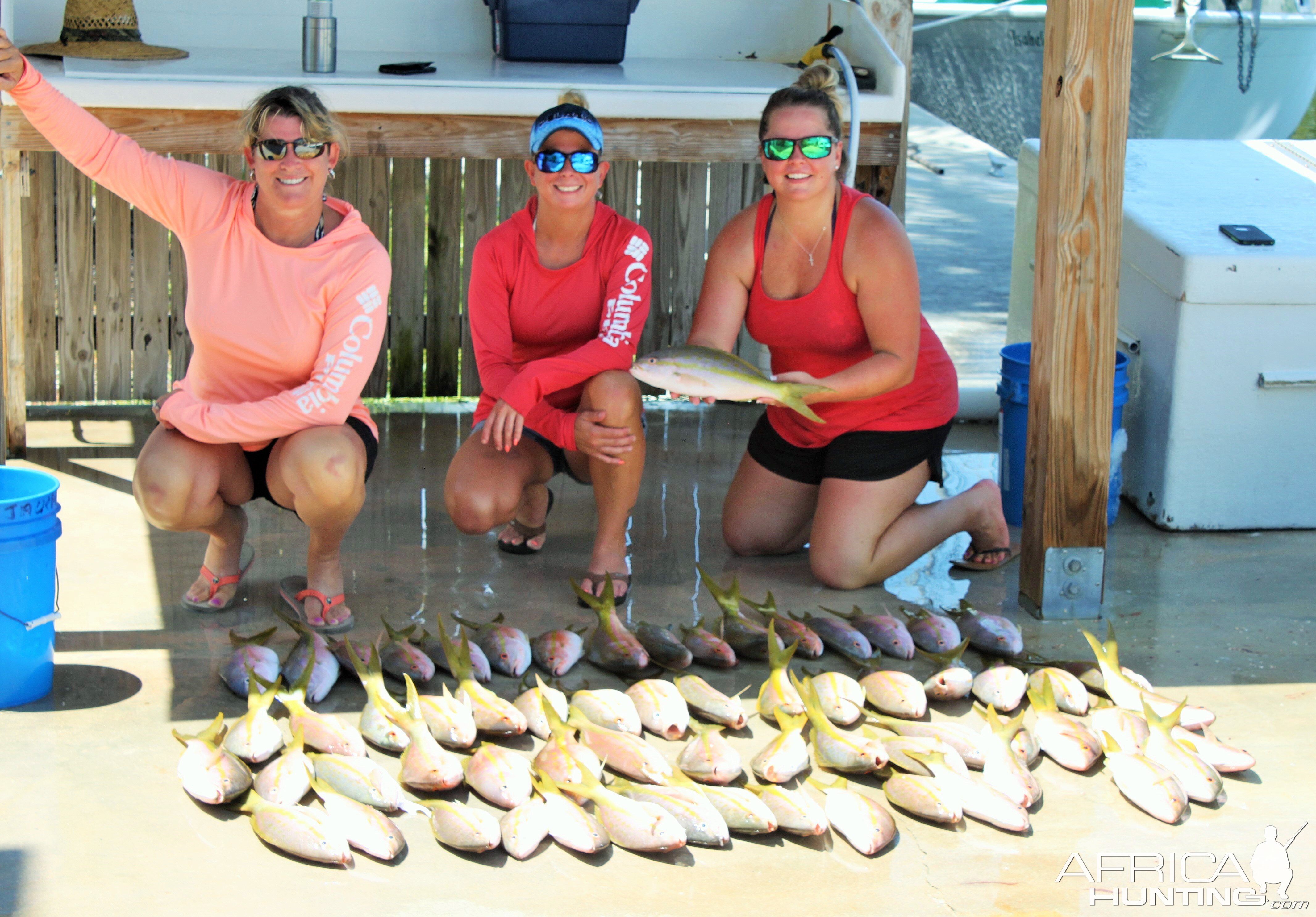 Yellowtail Snapper Fishing Florida Keys