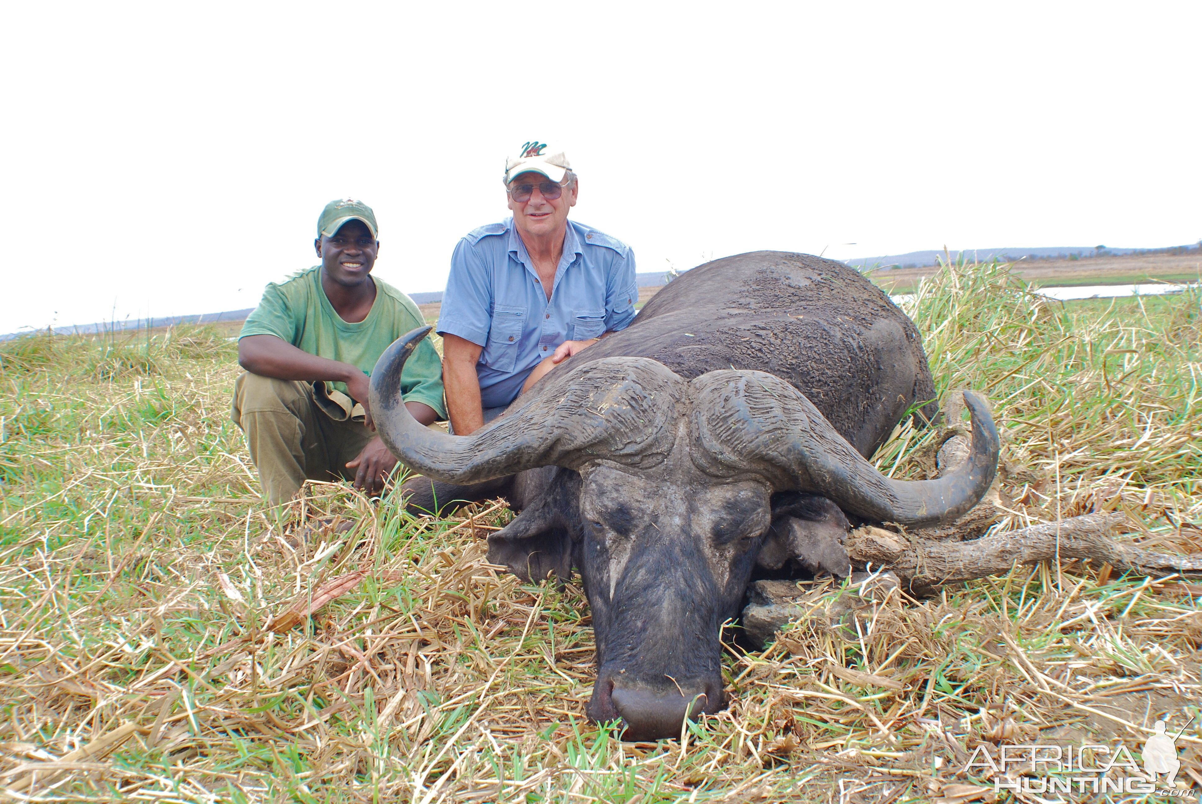 Zambeze Mozambique Hunting Buffalo