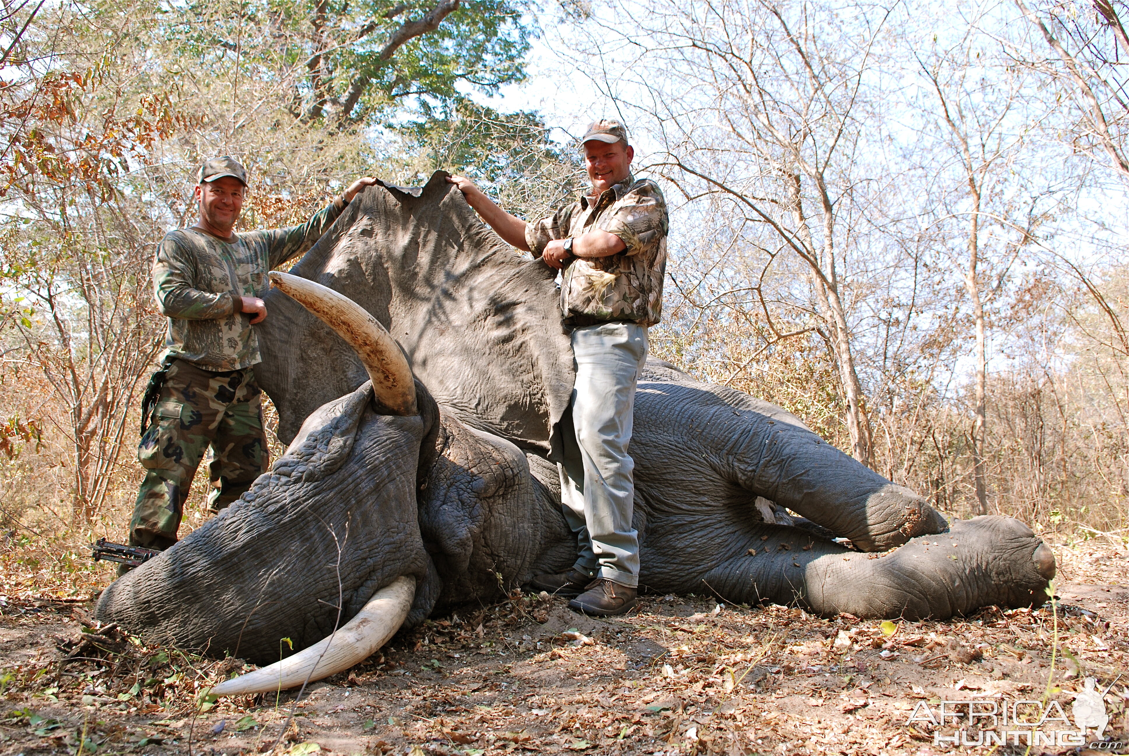 Zambia Bow Hunting Elephant