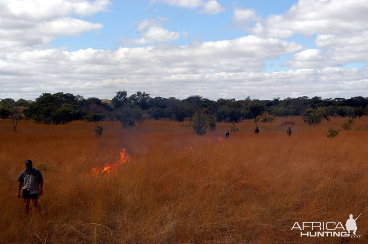 Zambia Bush Fire