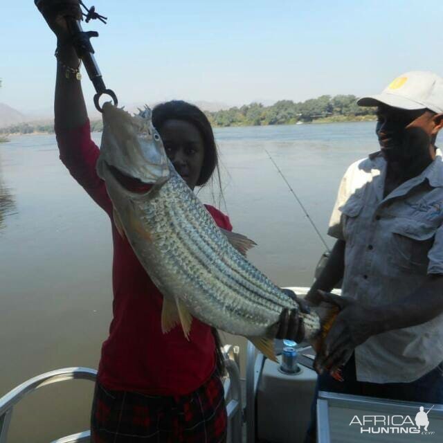 Zambia Fishing Tigerfish