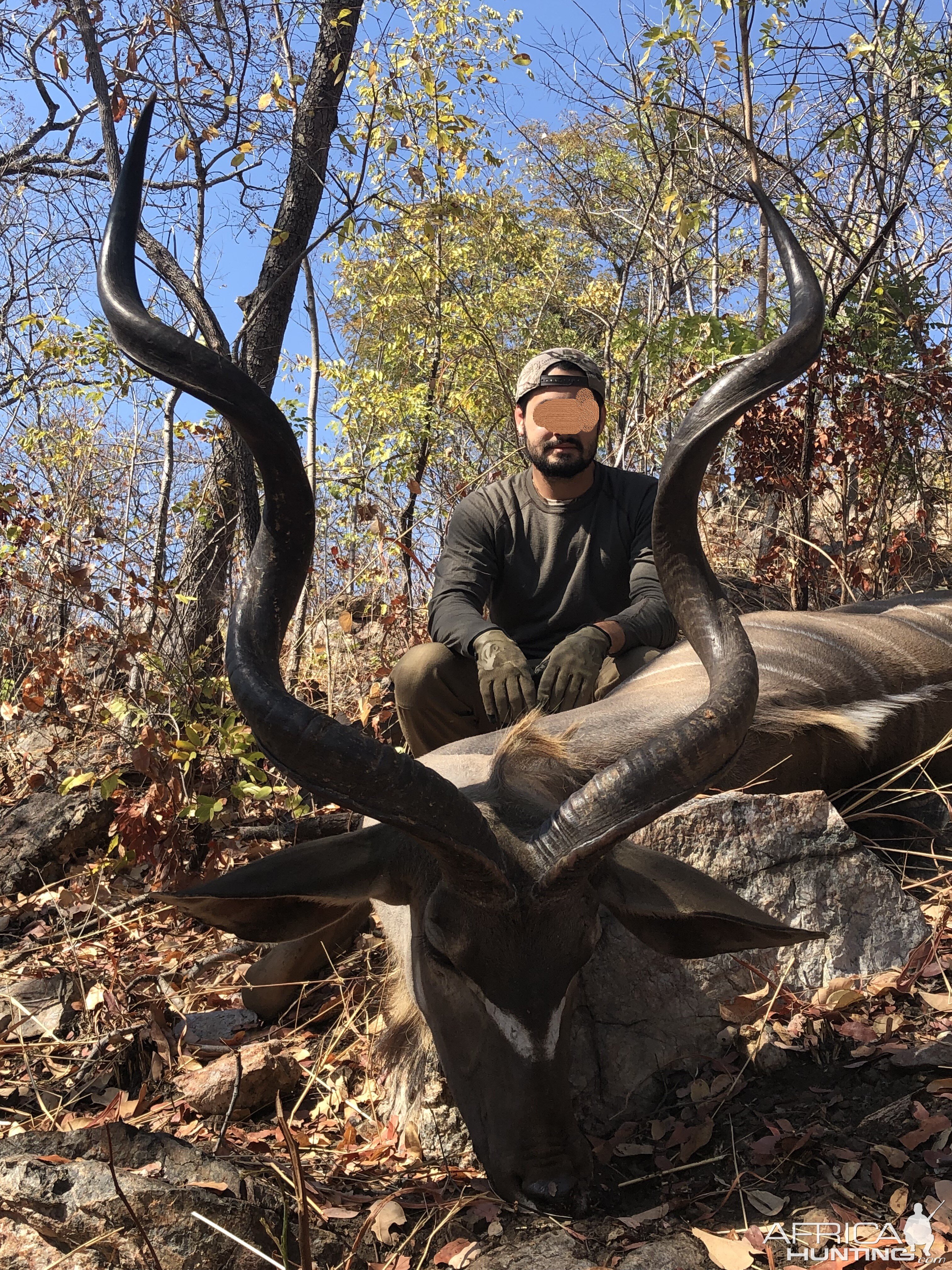 Zambia Hunt Kudu