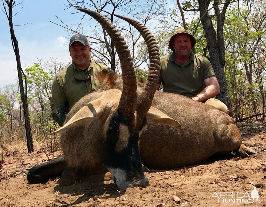 Zambia Hunt Roan