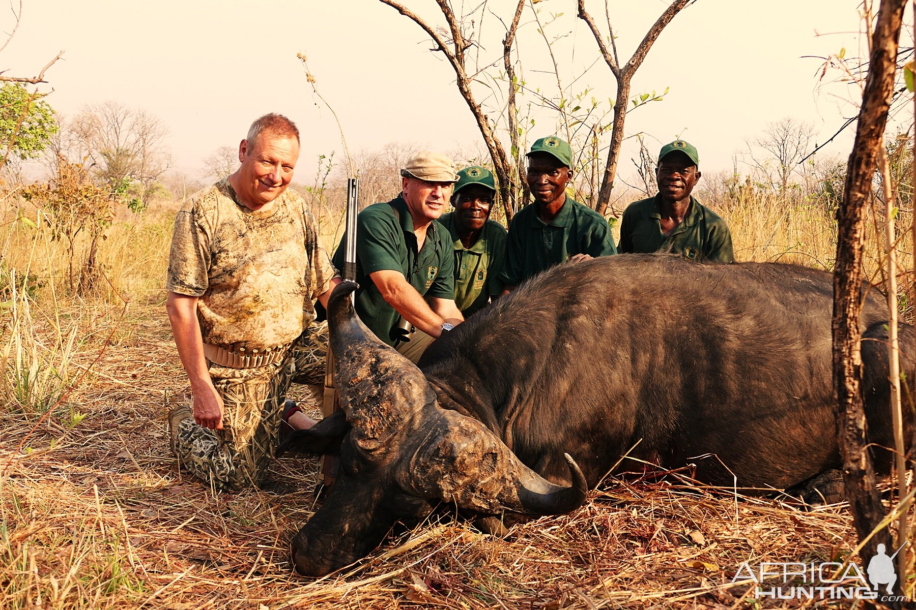 Zambia Hunting Cape Buffalo