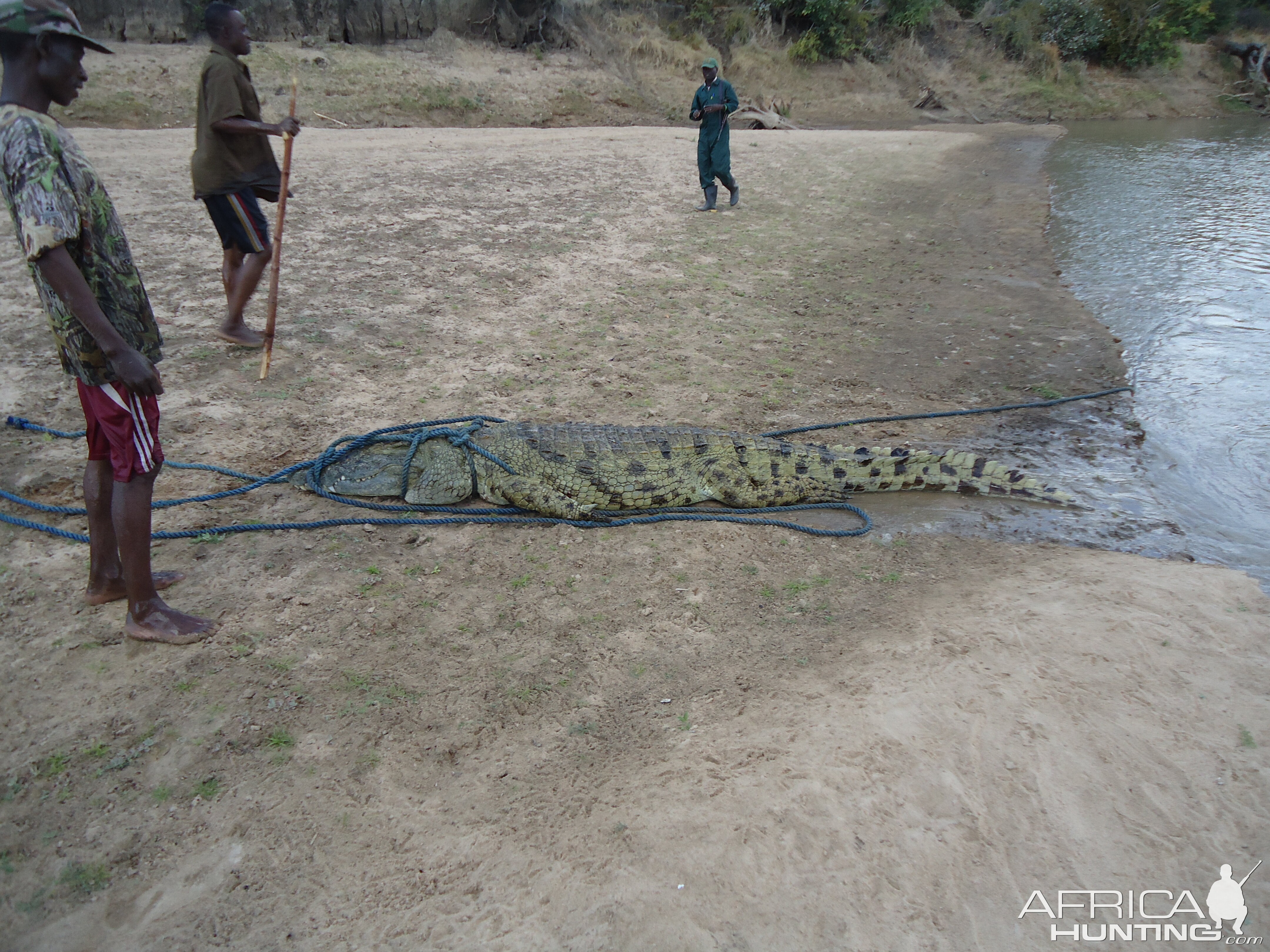 Zambia Hunting Crocodile