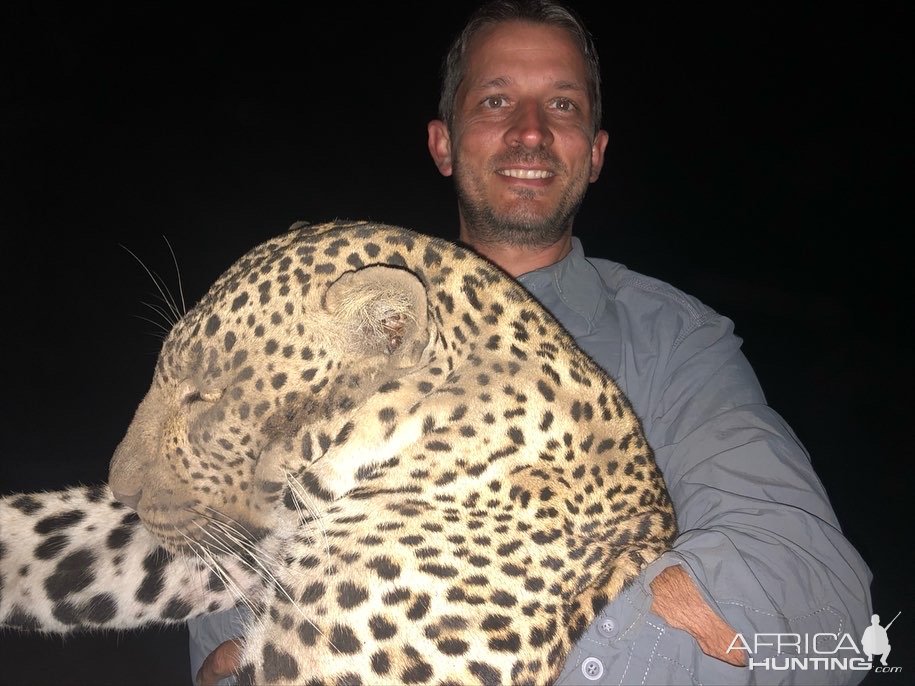 Zambia - Luangwa valley 2023 leopard