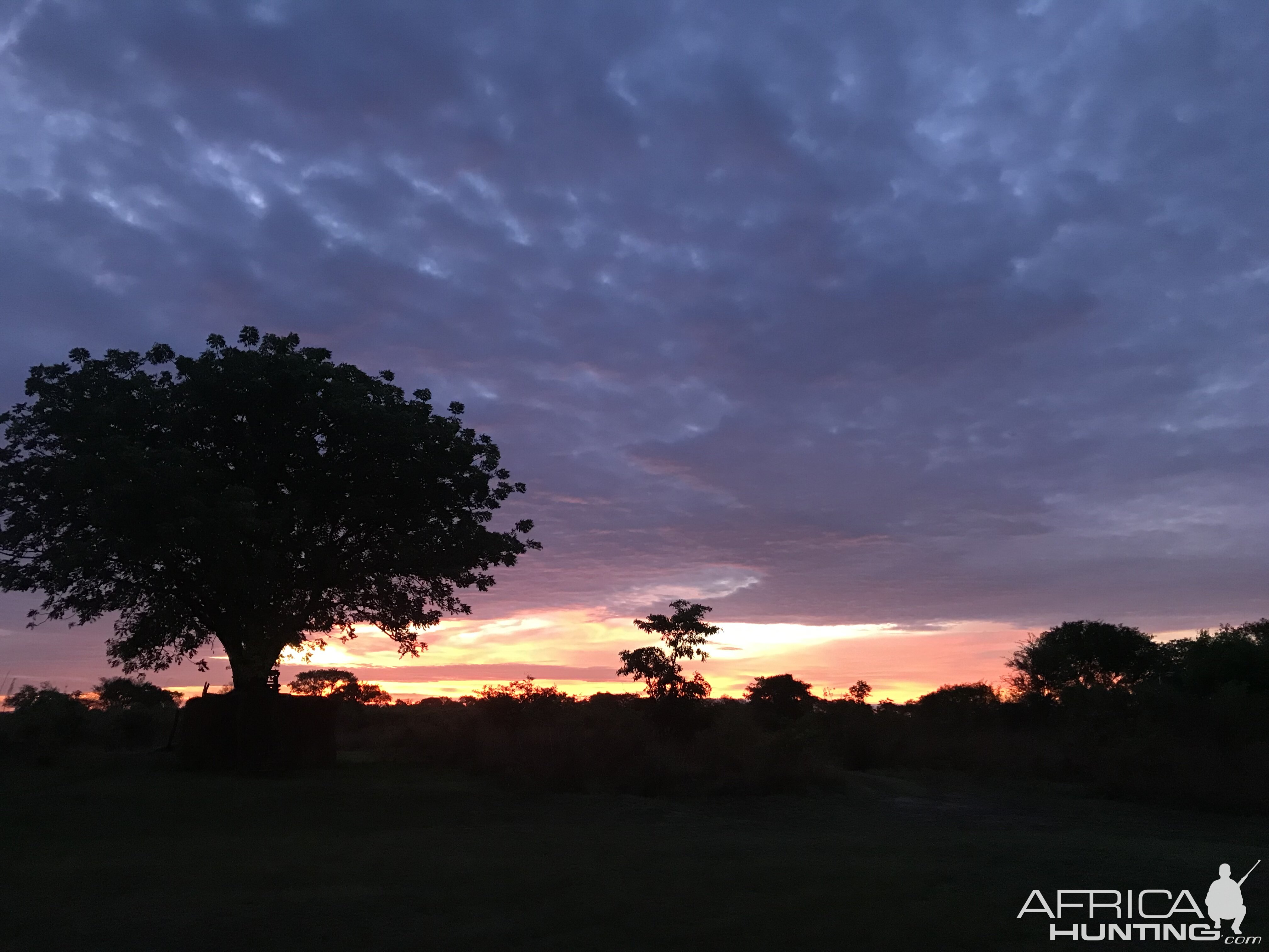 Zambia Nature