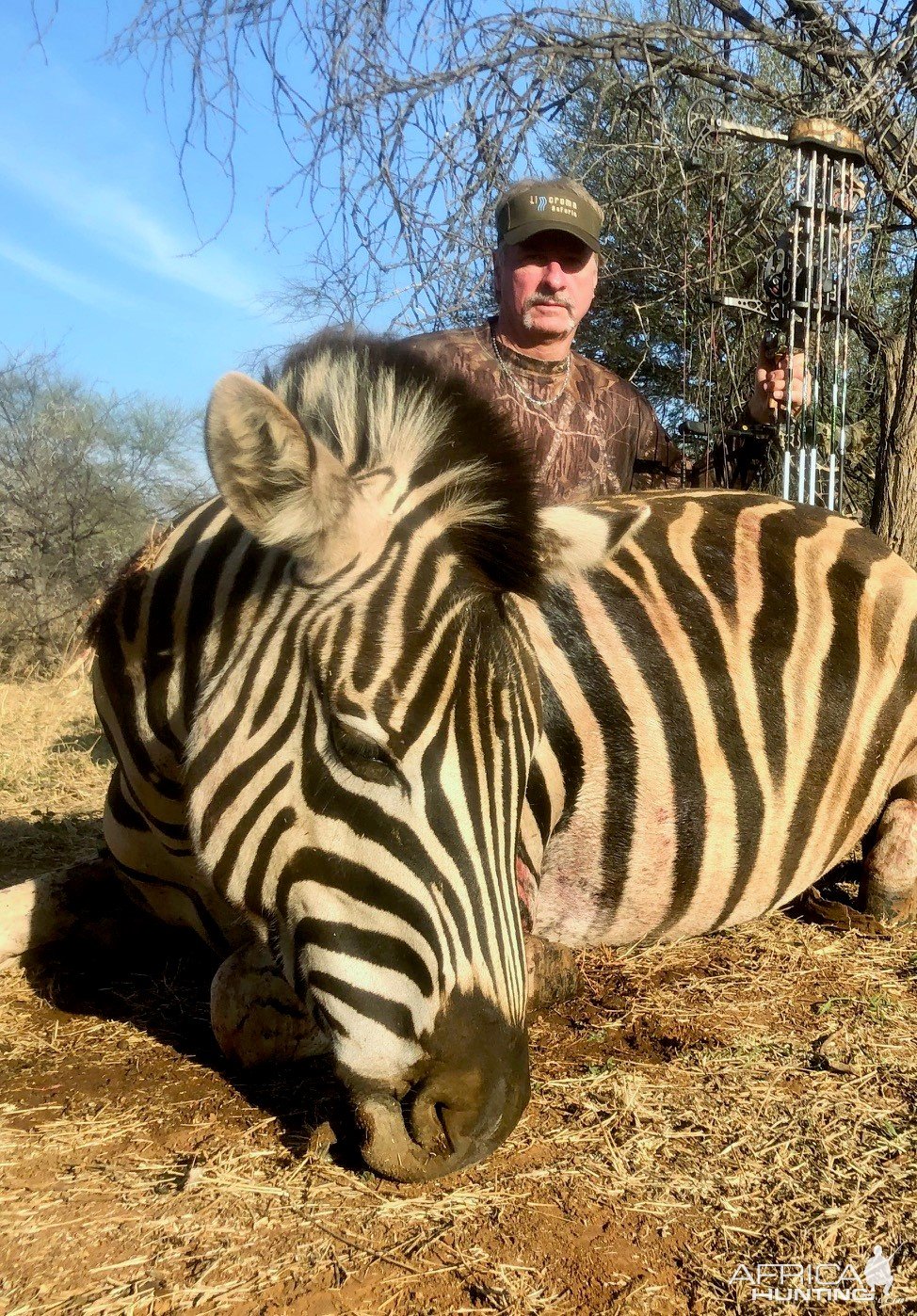 Zebra Bow Hunt South Africa