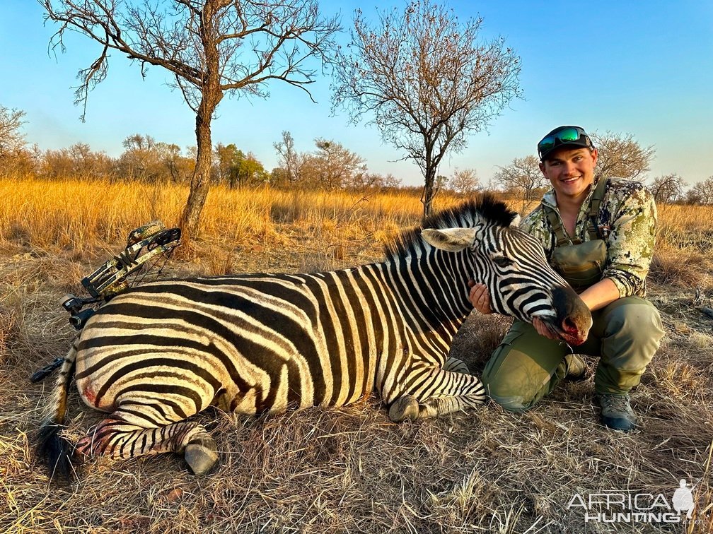 Zebra Bow Hunt South Africa