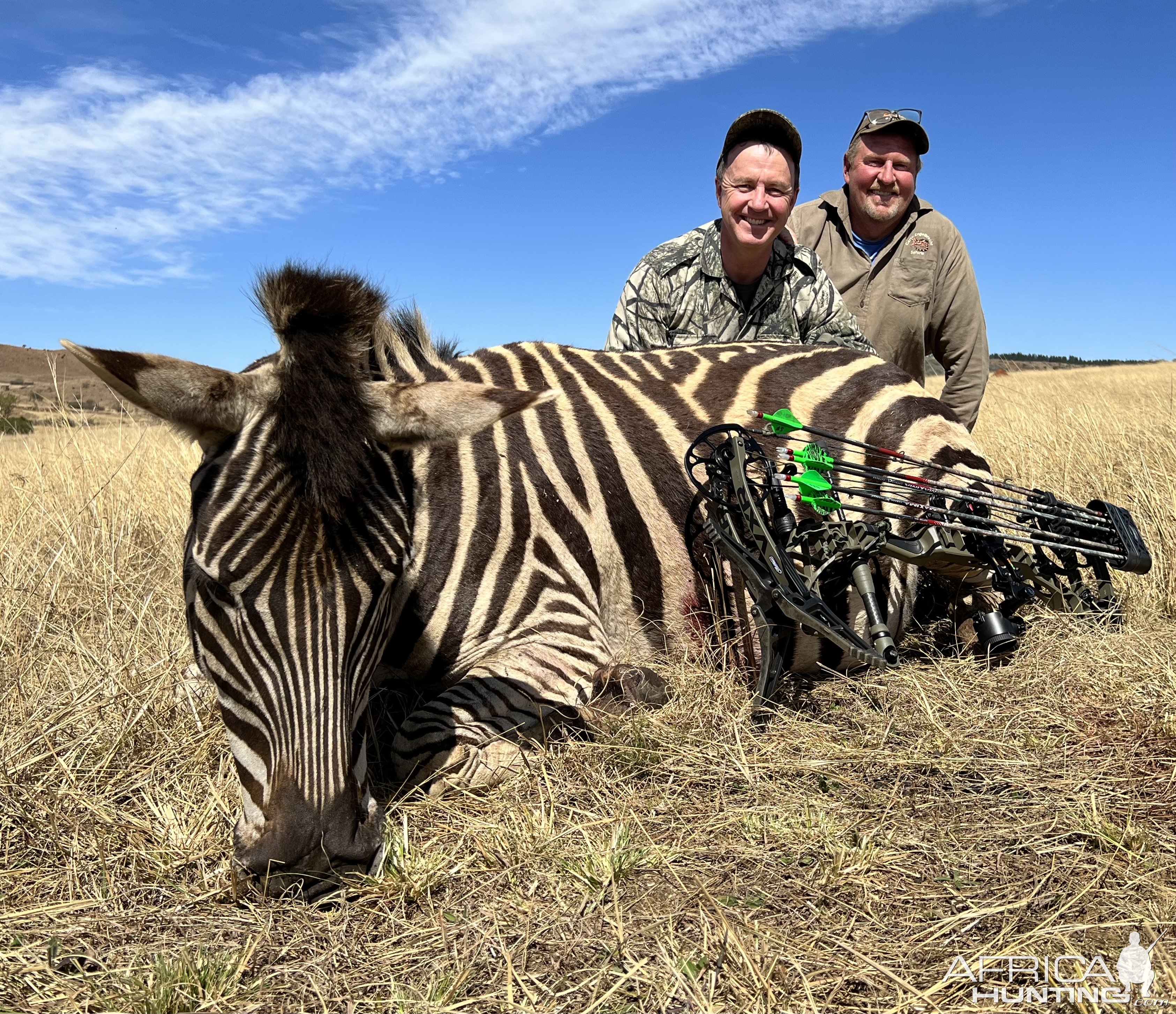 Zebra Bow Hunting South Africa