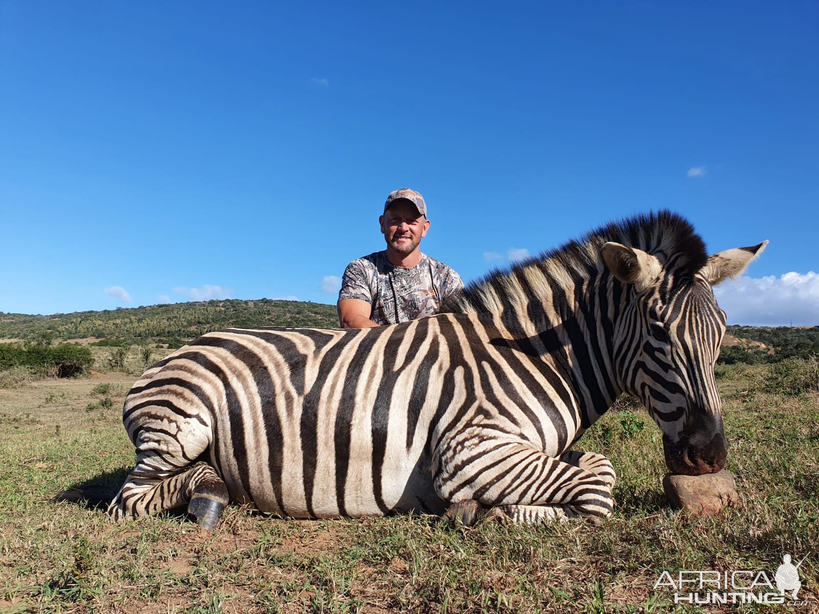 Zebra Hunt Eastern Cape South Africa