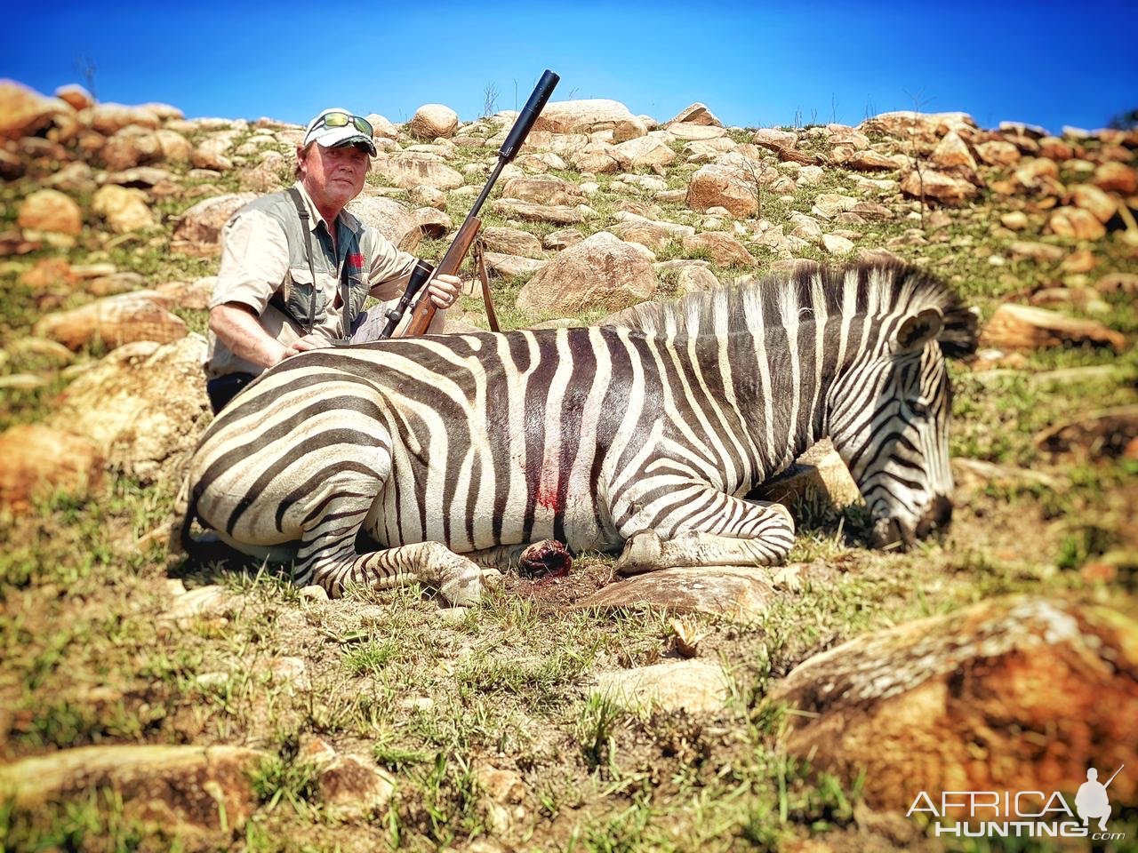 Zebra Hunt Eastern Cape South Africa