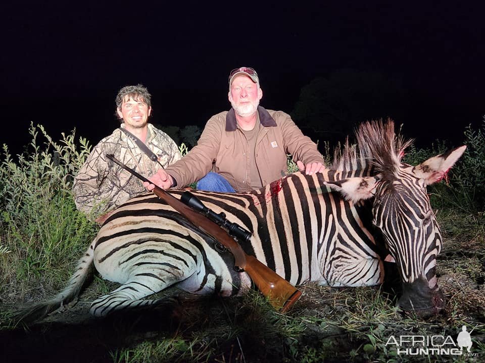 Zebra Hunt Limpopo South Africa