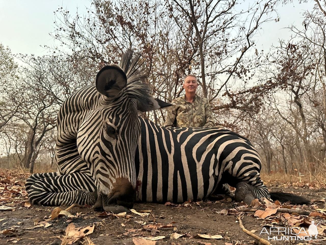 Zebra Hunt Mozambique